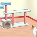 Cara Merawat dan Memperpanjang Umur Rumah Kucing Anda