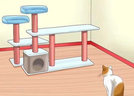 Cara Merawat dan Memperpanjang Umur Rumah Kucing Anda