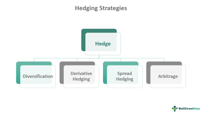 Hedging hedge strategies setos basics investopedia traders entrada