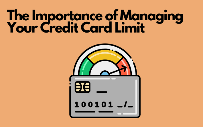 Credit limit card factors influence estimated minutes reading time